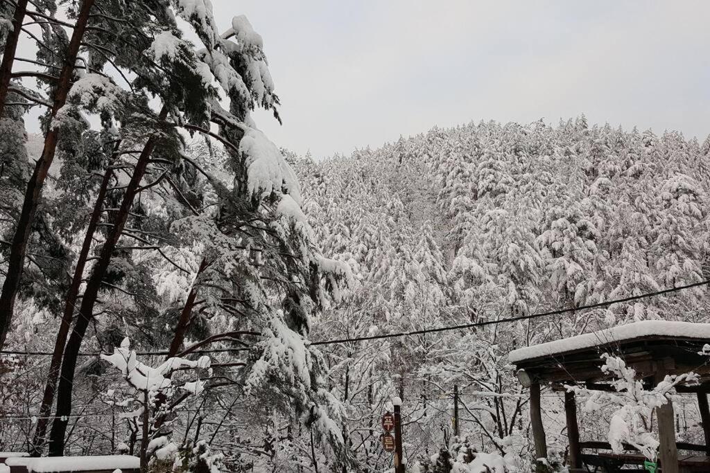 Blue Sky Milky Way Pension Yangyang Exterior photo