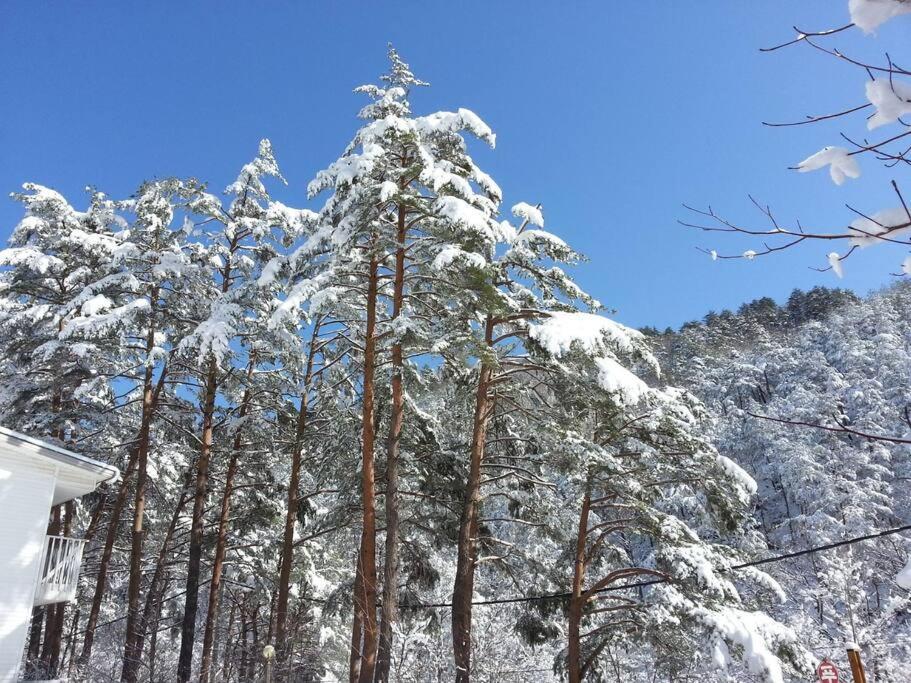 Blue Sky Milky Way Pension Yangyang Exterior photo